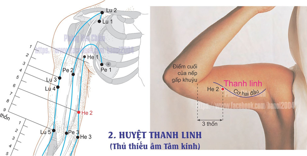 5.2. THANH LINH