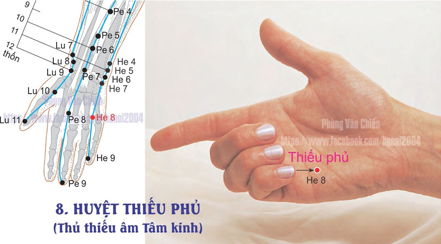 5.8. THIẾU PHỦ