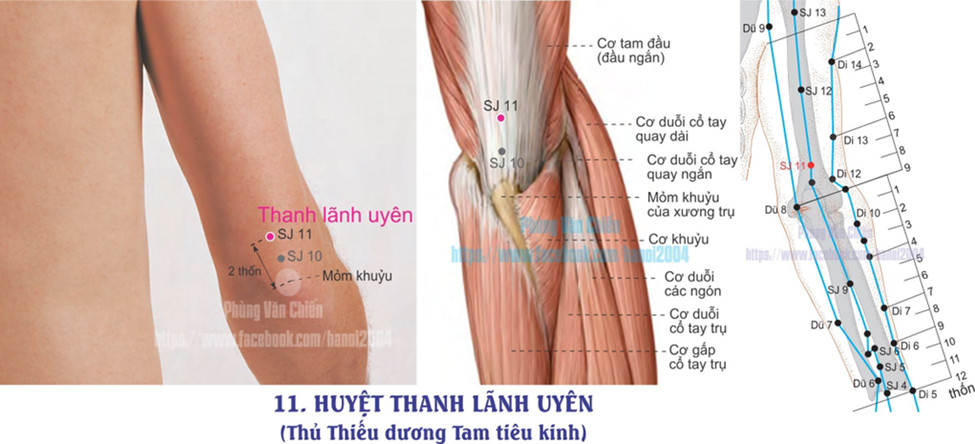 10.11. THANH LÃNH UYÊN