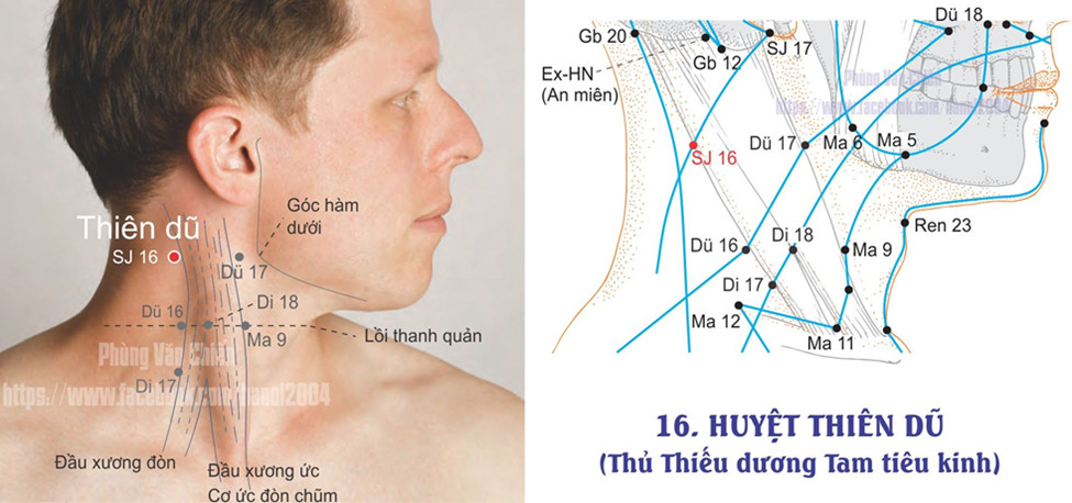 10.16. THIÊN DŨ