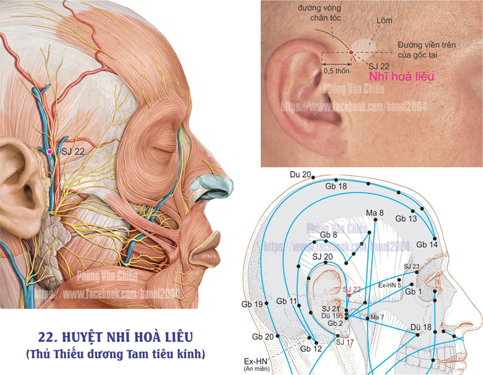 10.22. HÒA LIÊU