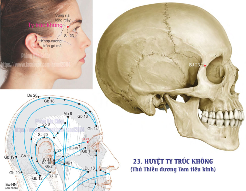 10.23. TY TRÚC KHÔNG