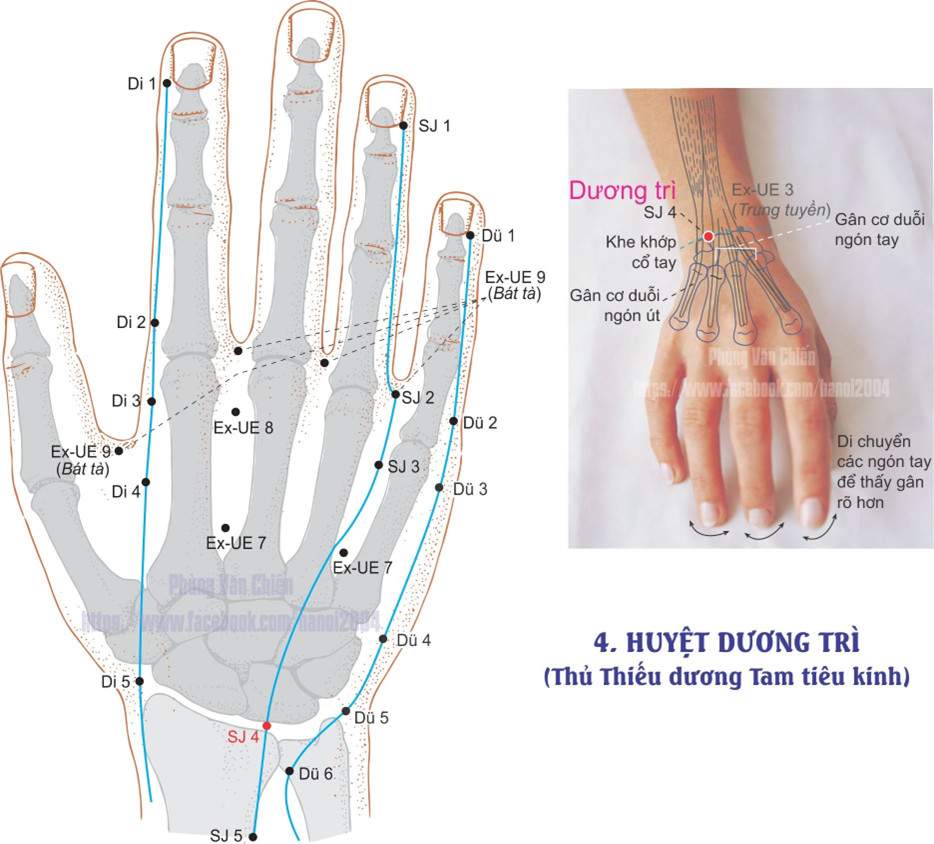 10.4. DƯƠNG TRÌ