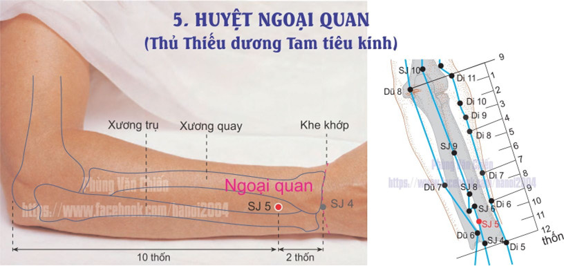 10.5 NGOẠI QUAN