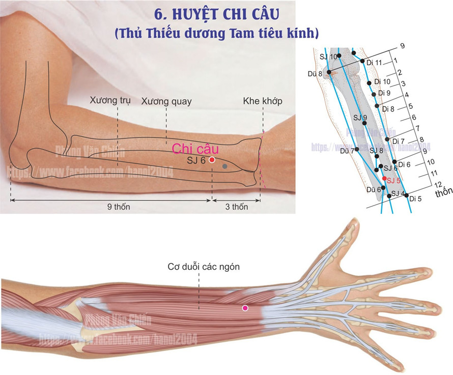 10.6 CHI CÂU