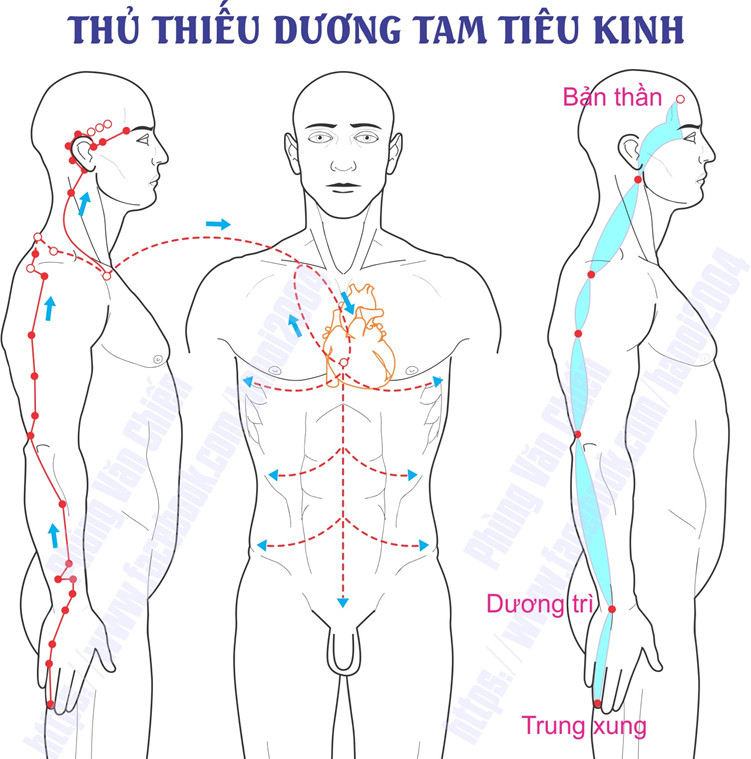 TAM TIEU