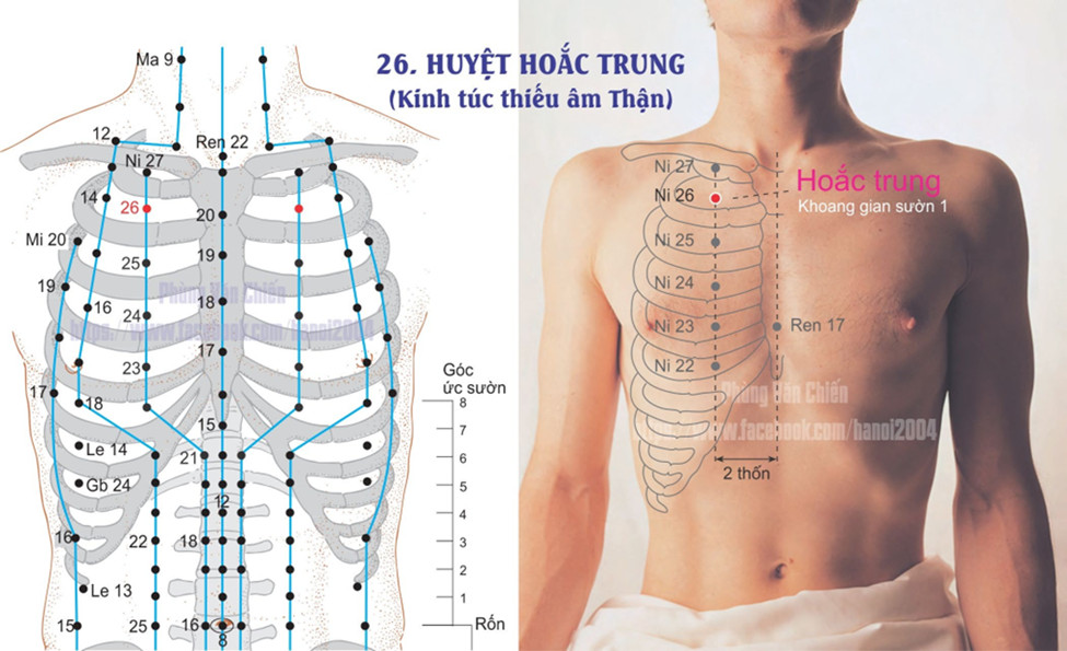 8.26. HÚC TRUNG