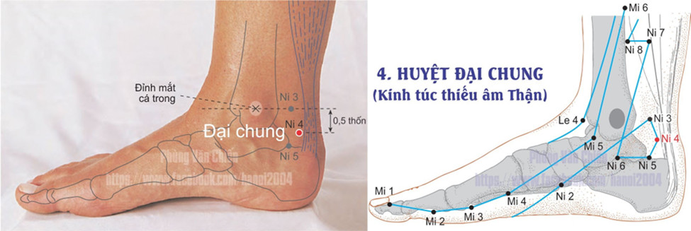 8.4. ĐẠI CHUNG