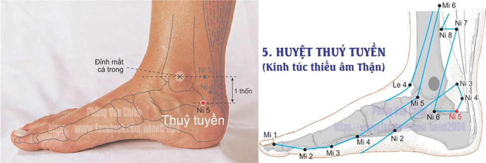 8.5. THỦY TUYỀN