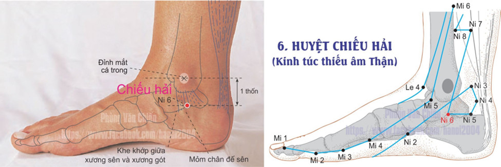 8.6. CHIẾU HẢI