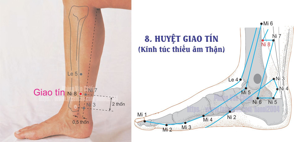 8.8. GIAO TÍN