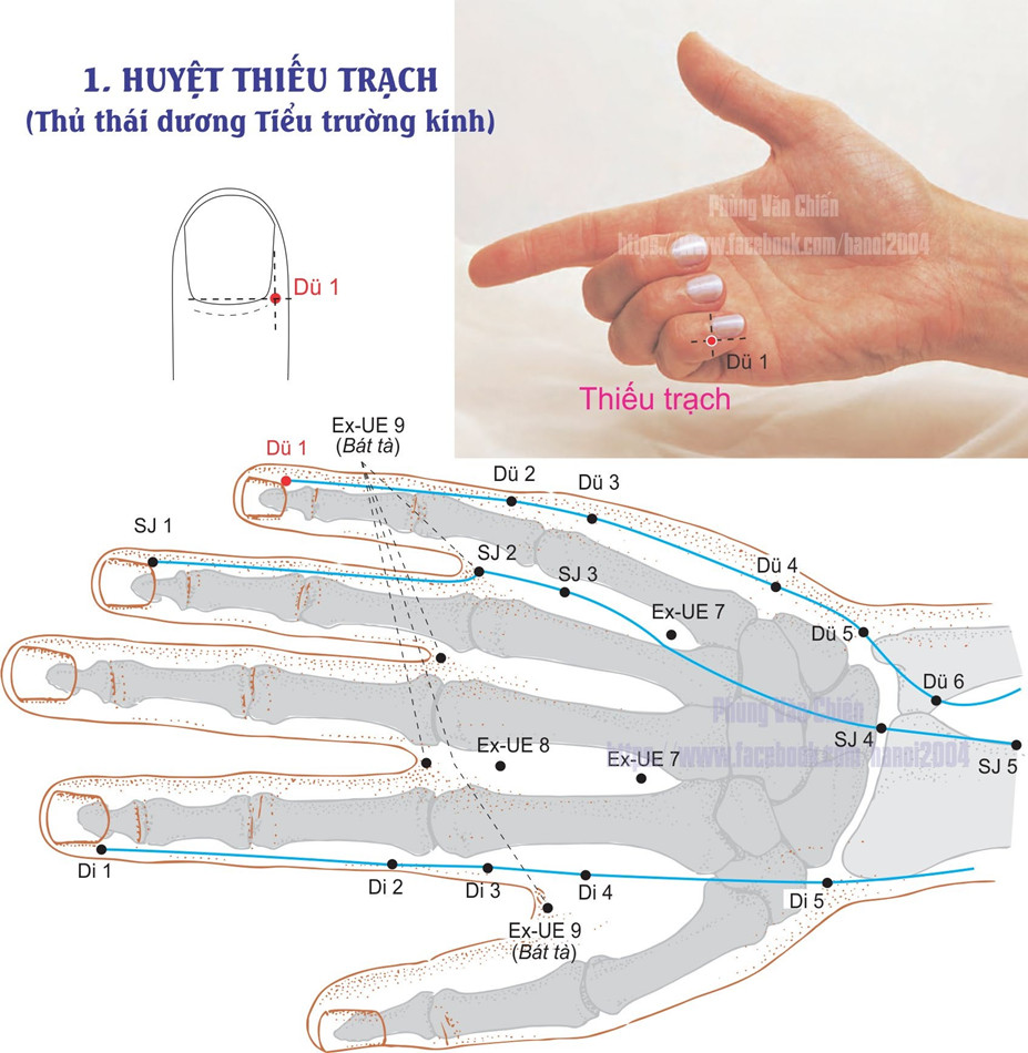 6.1. THIẾU TRẠCH