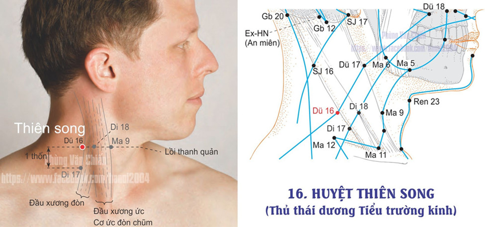 6.16. THIÊN SONG