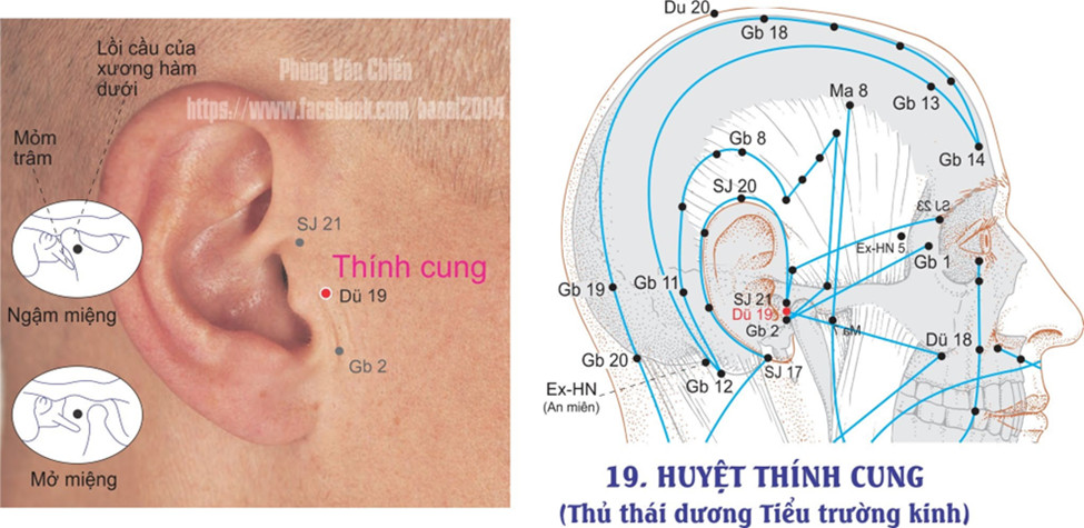 6.19. THÍNH CUNG