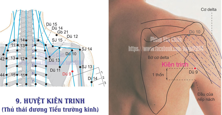 6.9. KIÊN TRINH