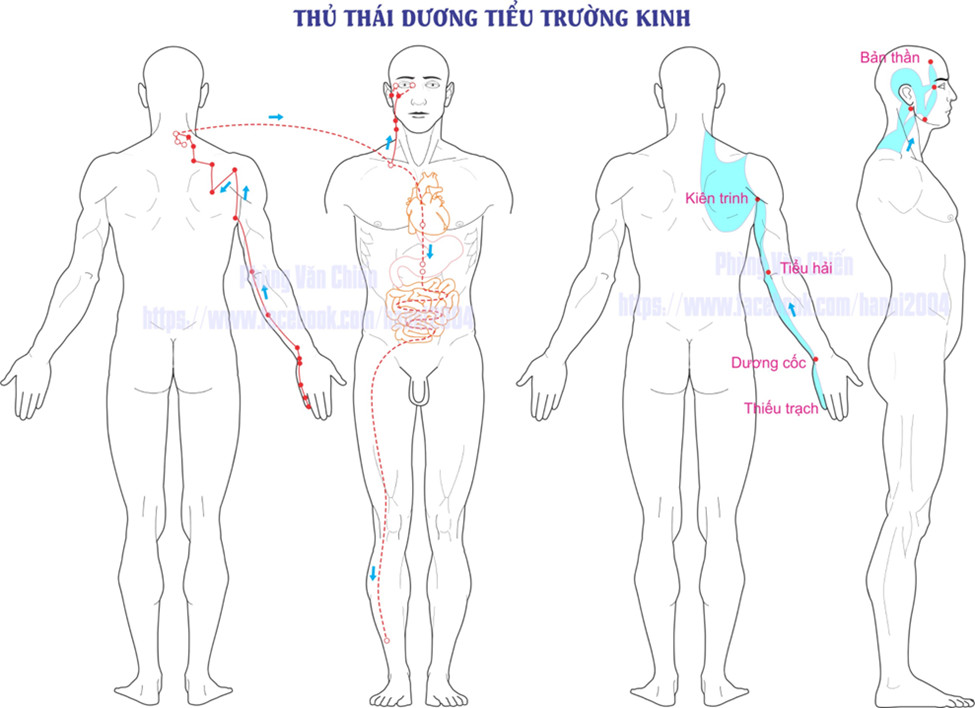 TIỂU TRƯỜNG