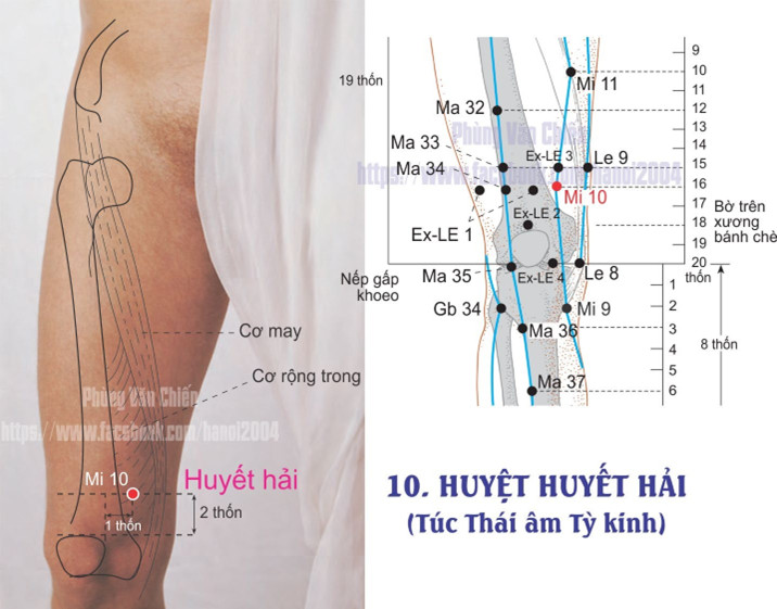 4.10. HUYẾT HẢI