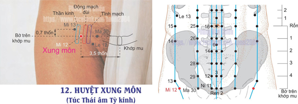 4.12. XUNG MÔN