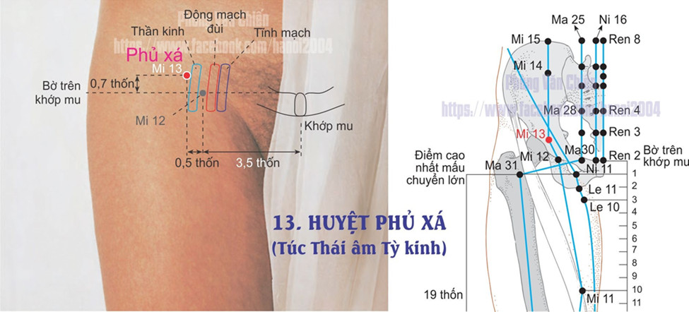 4.13. PHỦ XÁ