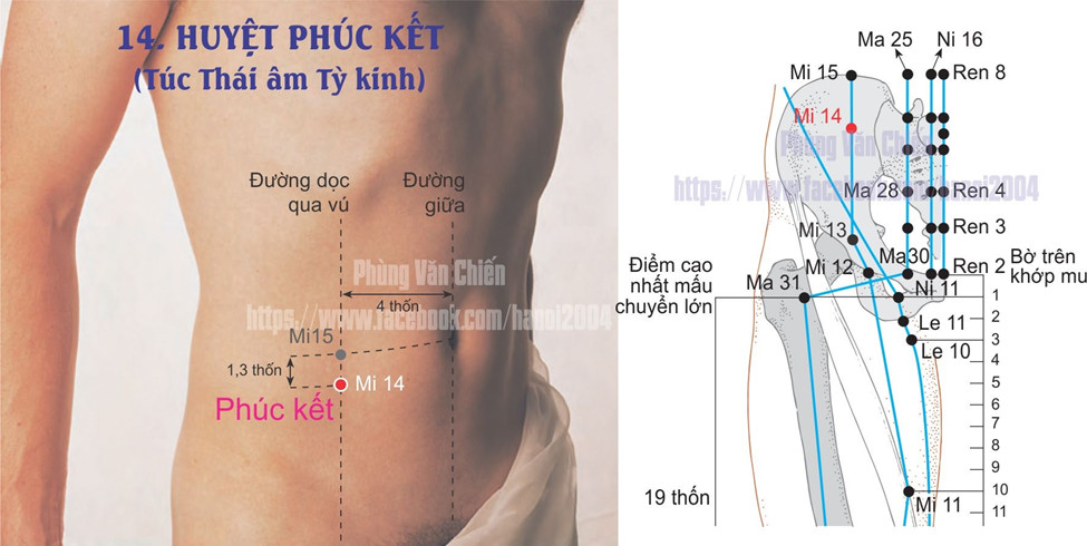 4.14. PHÚC KẾT