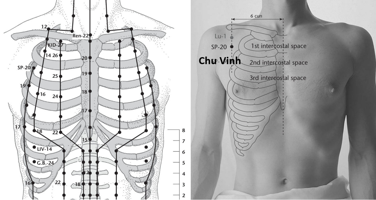 4.20. CHU VINH