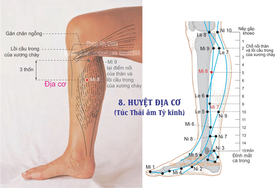 4.8. ĐỊA CƠ