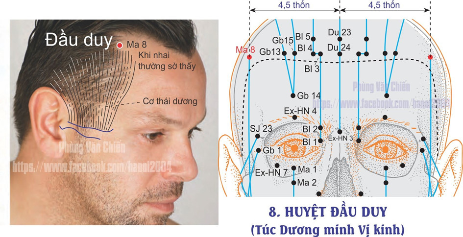 3.1. ĐẦU DUY