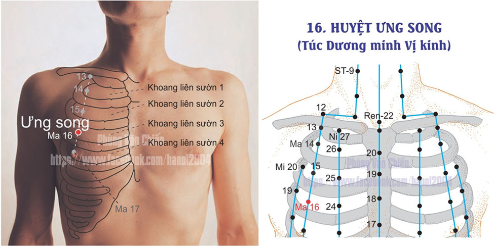 3.16. ƯNG SONG