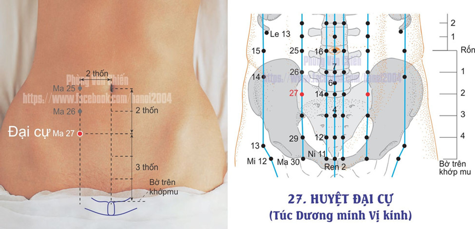 3.27. ĐẠI CỰ