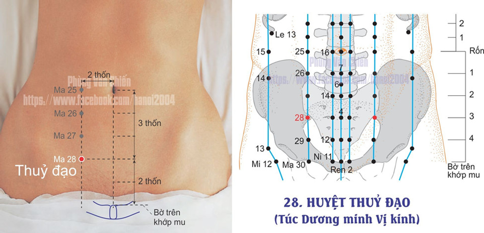 3.28. THỦY ĐẠO