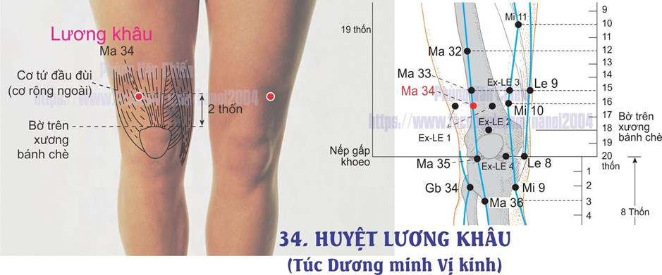 3.34. LƯƠNG KHÂU