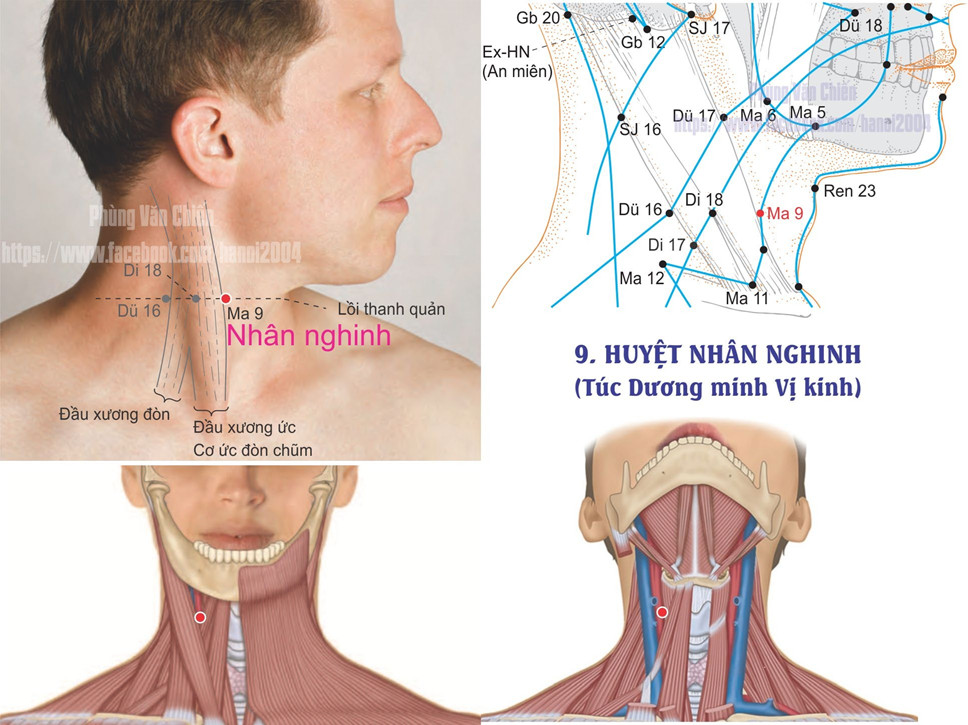 3.9. NHÂN NGHINH