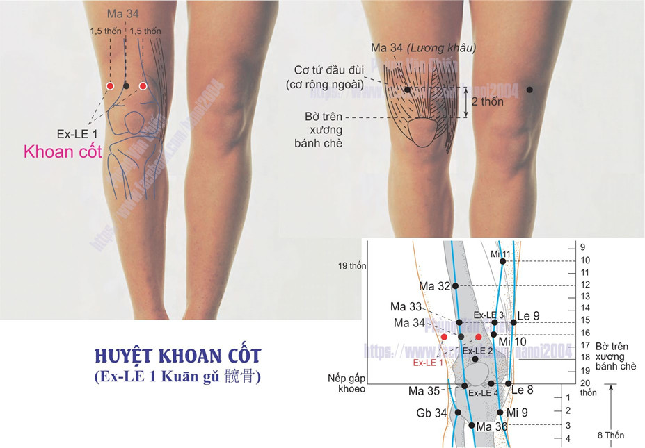 5.1. KHOAN CỐT