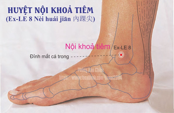 5.8. NỘI KHỎA TIÊM