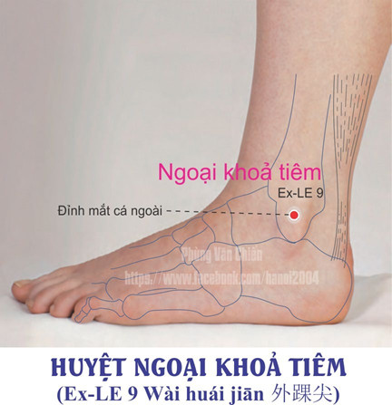 5.9. NGOẠI KHỎA TIÊM