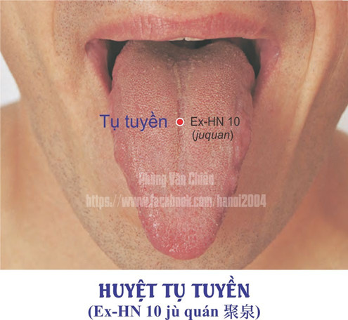 1.10. TỤ TUYỀN