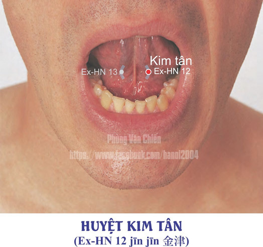 1.12. KIM TÂN