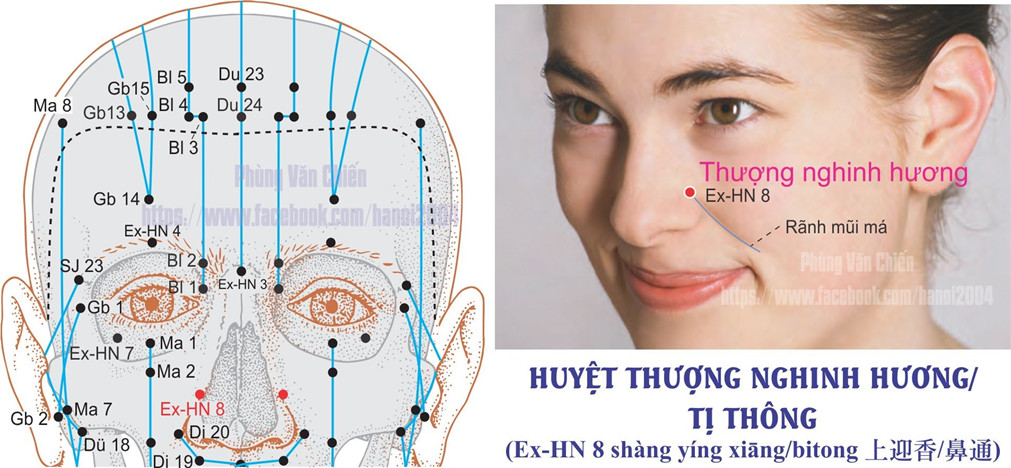 1.8. THƯỢNG NGHINH HƯƠNG