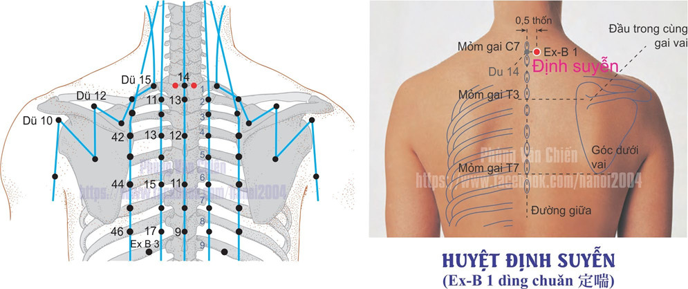 3.1. ĐỊNH SUYỄN