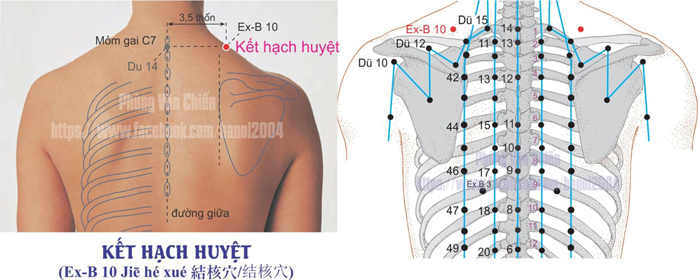 3.10. KẾT HẠCH