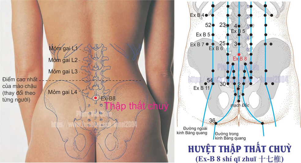 3.8. THẬP THẤT CHÙY / THẬP THẤT CHÙY HẠ