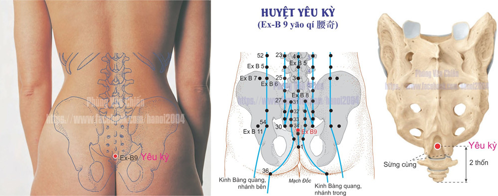 3.9. YÊU KỲ