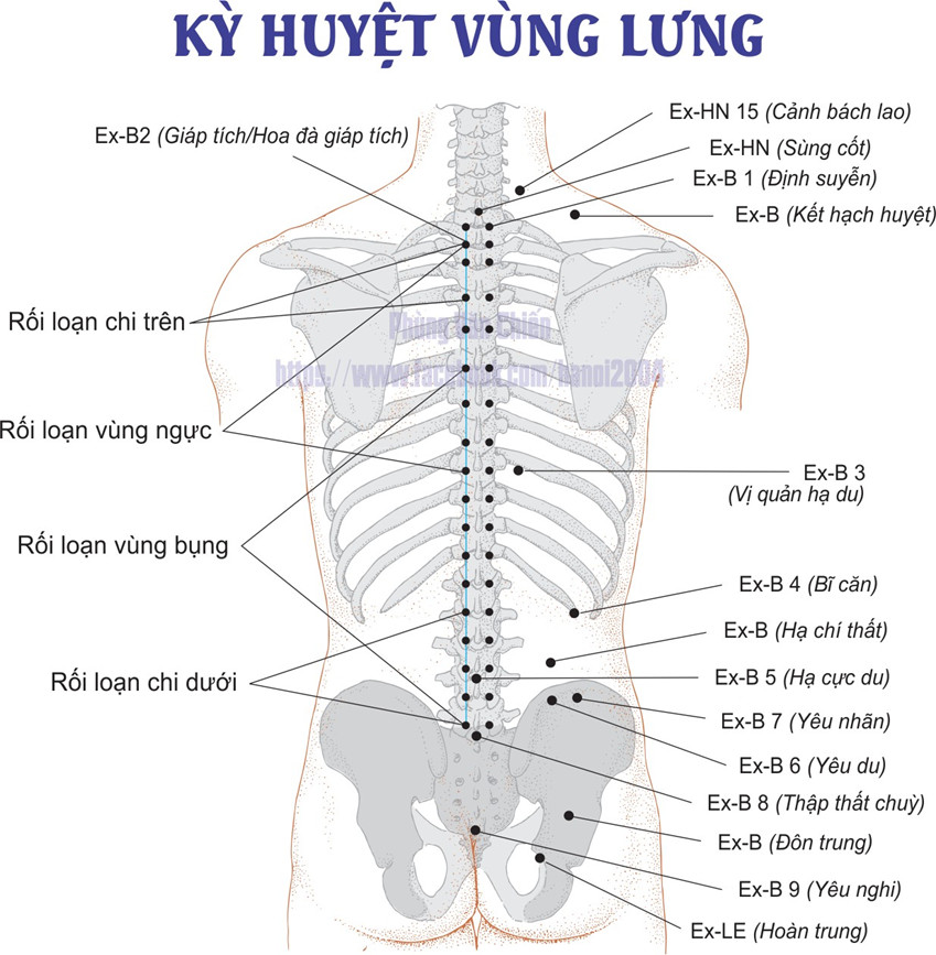 LƯNG