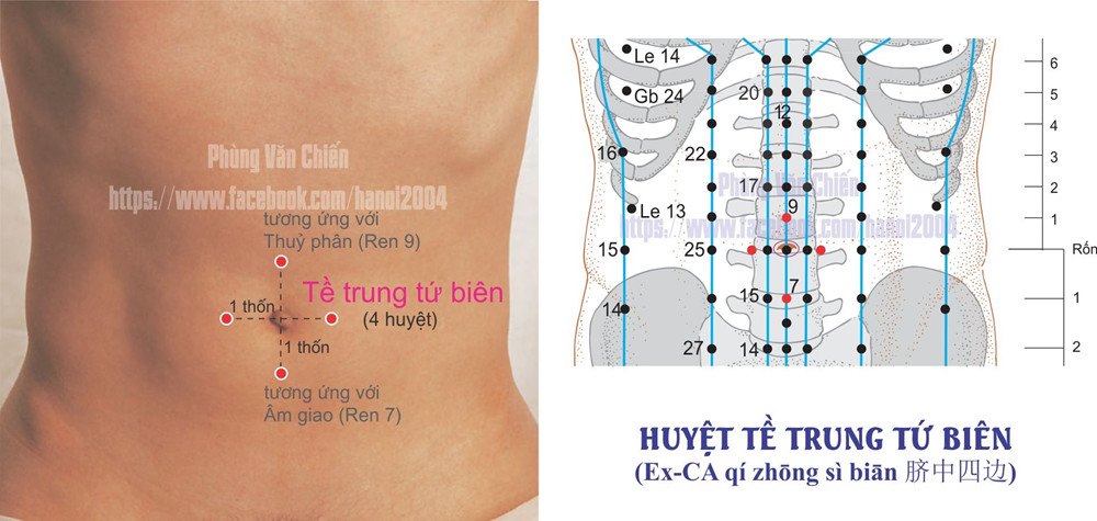 2.3. TỀ TRUNG TỨ BIỂN