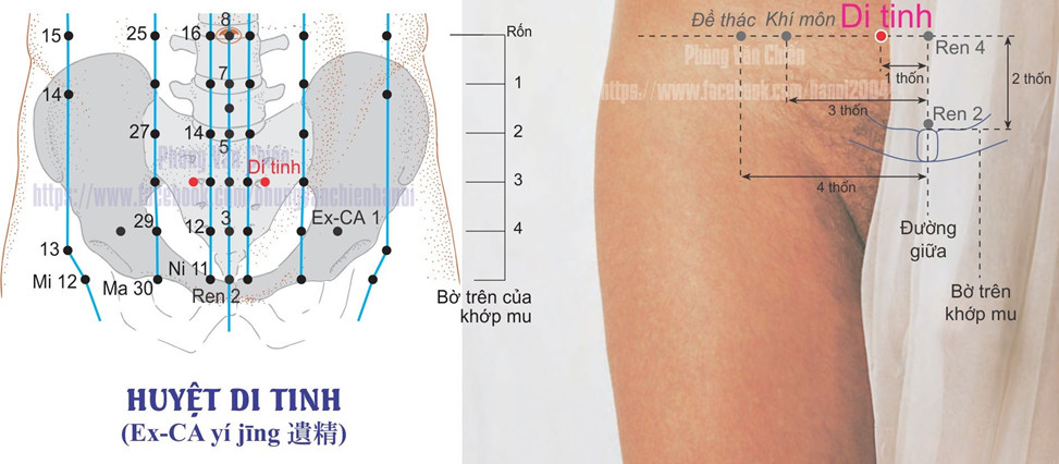 2.4. DI TINH