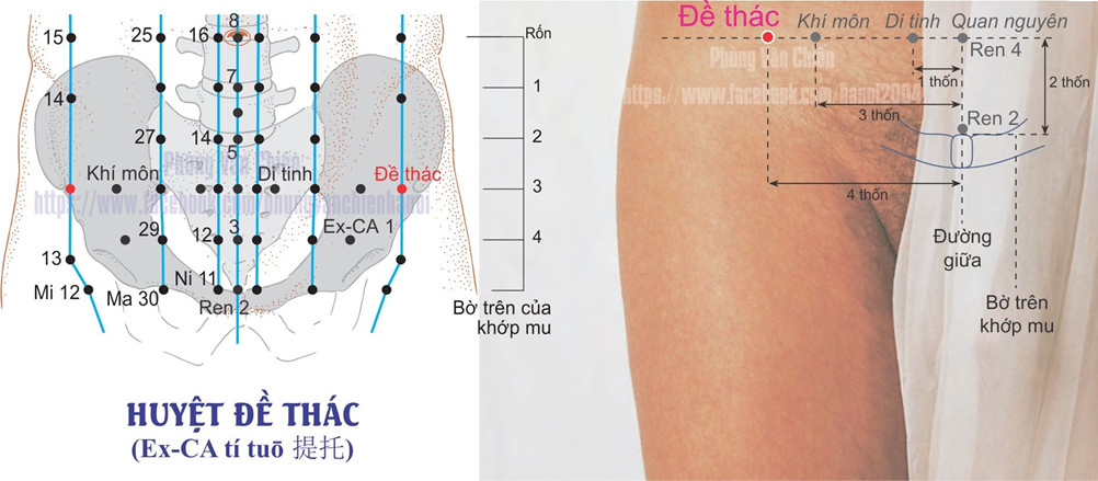 2.6. ĐỀ THÁC