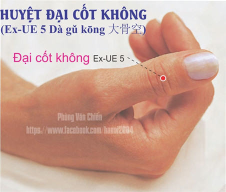 4.5. ĐẠI CỐT KHÔNG