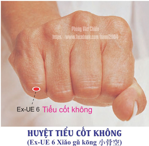 4.6. TIỂU CỐT KHÔNG