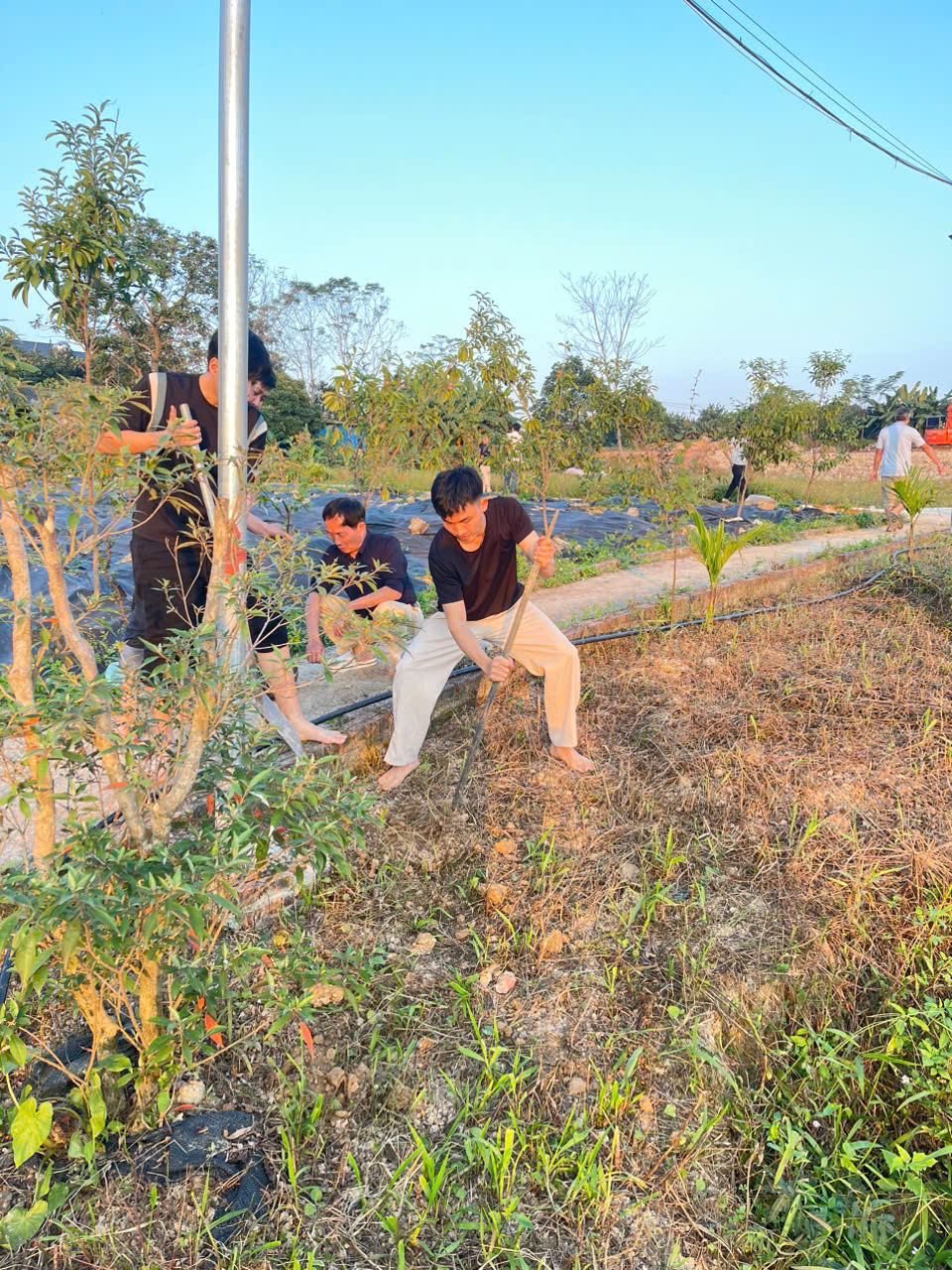 z7352387993805 9f30121ddf430474a634aa853110a7bc