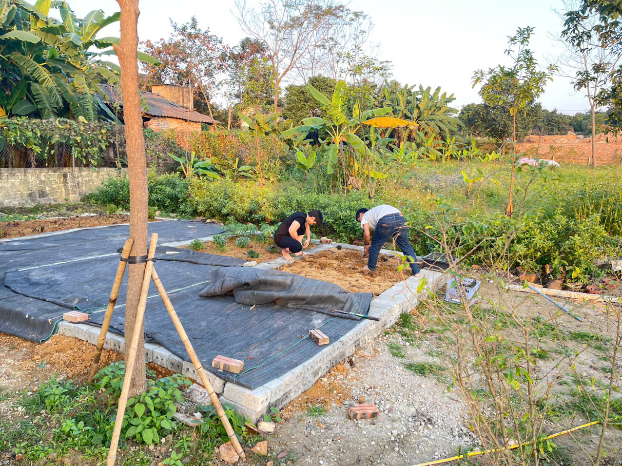 z7352388003437 94fd3ddf4b246100b936d3771c823123